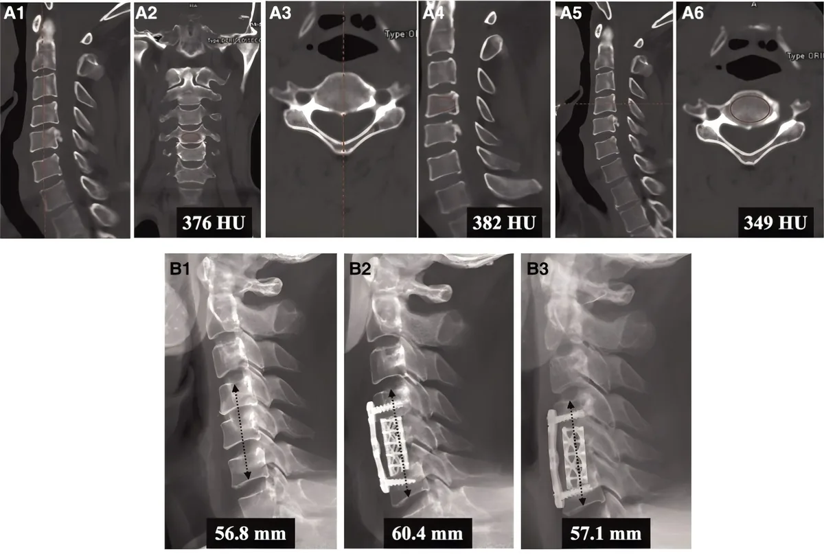 Figure 1 from the abstract