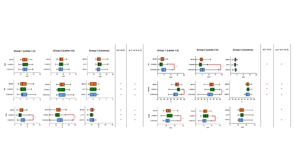 Lumbar paraspinal muscle morphology and composition across Lenke scoliosis subtypes and controls. “*” indicate statistically significant differences. Between- g