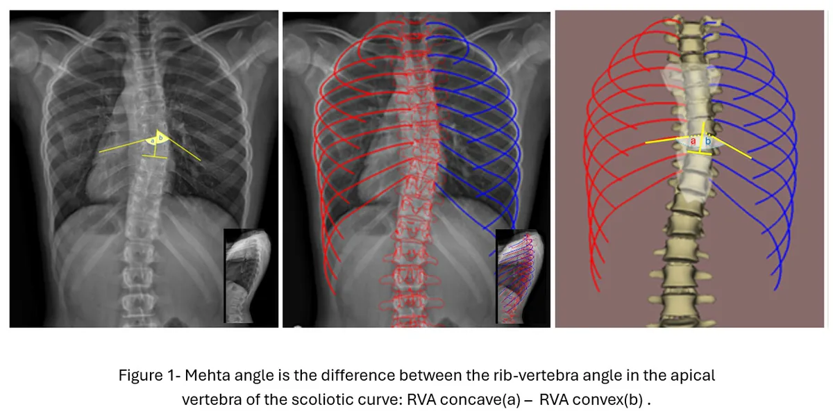 Figure 1 from the abstract