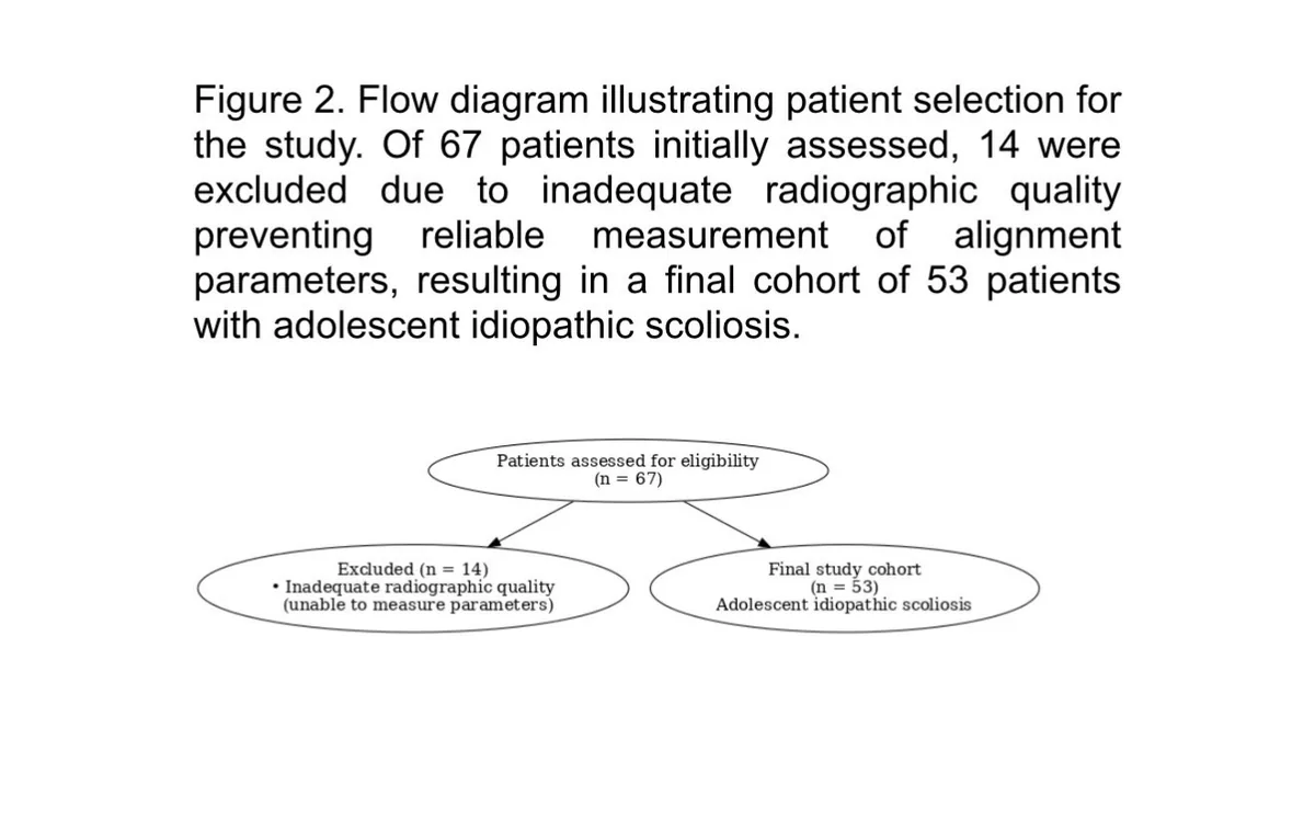 Figure 1 from the abstract