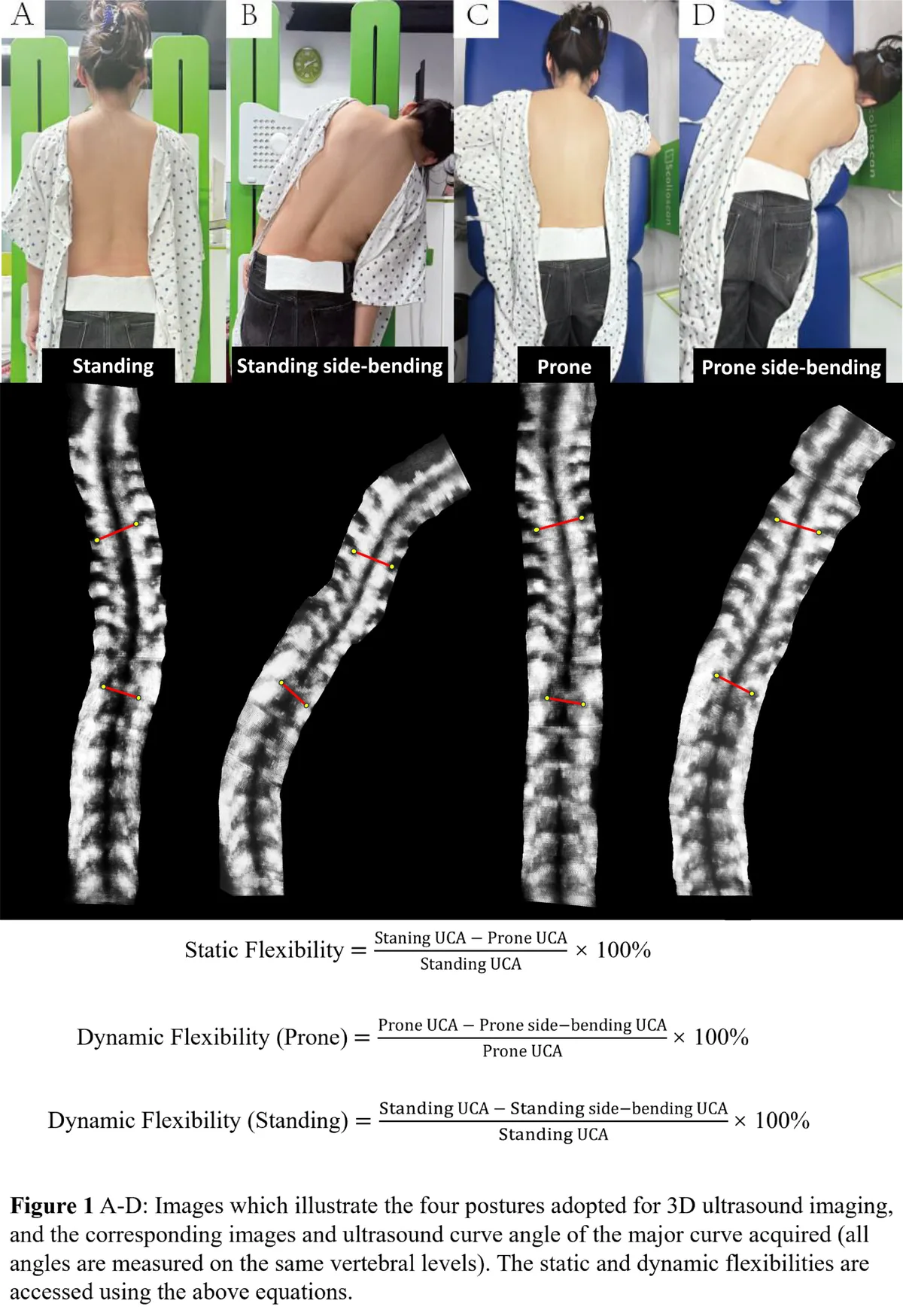 Figure 1 from the abstract