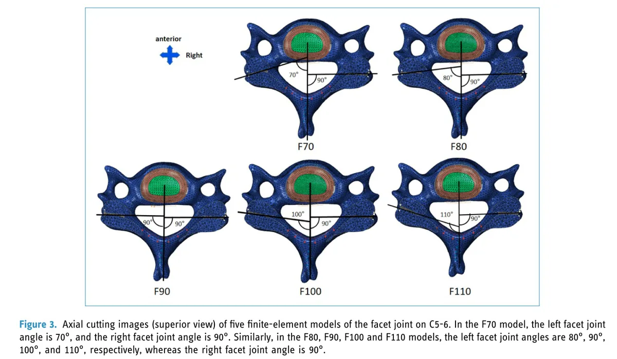 Figure 2 from the abstract