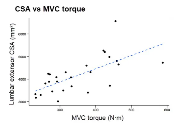 Relationship between lumbar extensor CSA and MVC torque, illustrating the association between muscle size and trunk extensor strength.