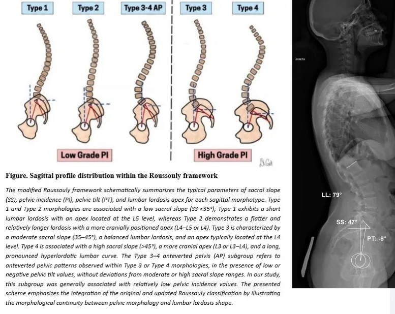 Figure 1 from the abstract