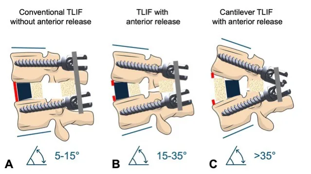 Figure 1 from the abstract