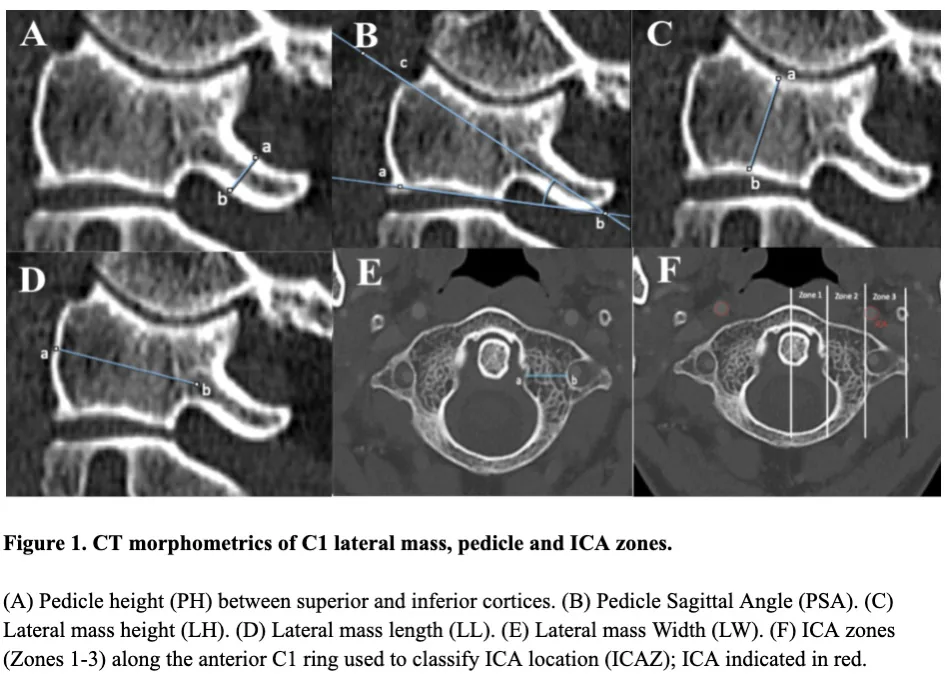 Figure 1 from the abstract