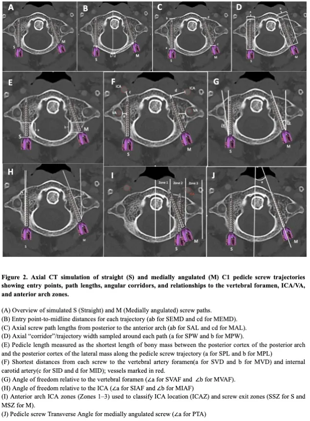 Figure 2 from the abstract