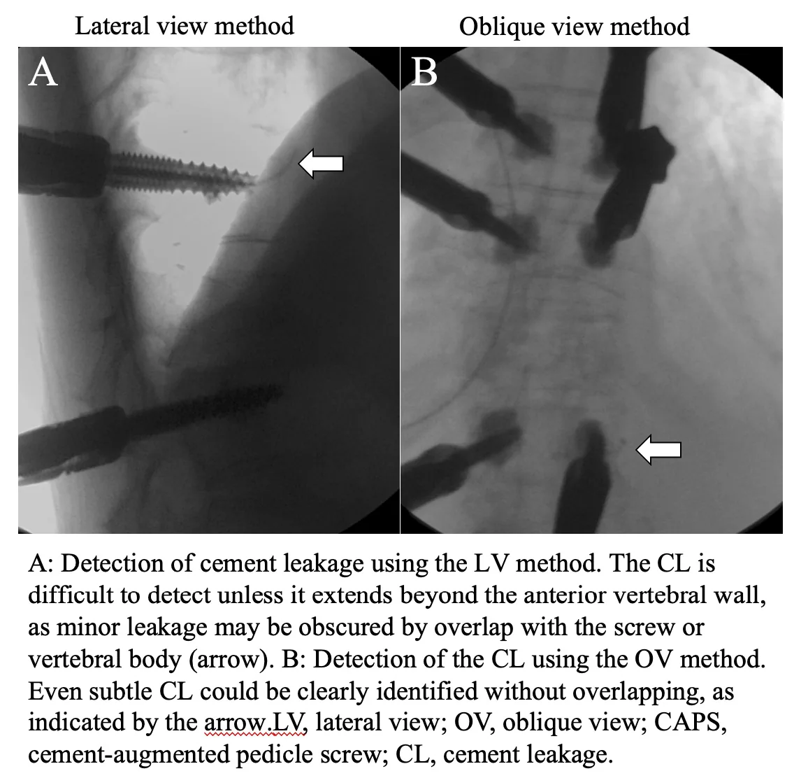 Figure 1 from the abstract