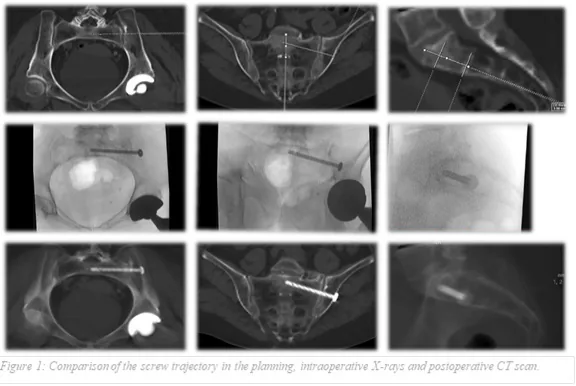 Figure 1 from the abstract