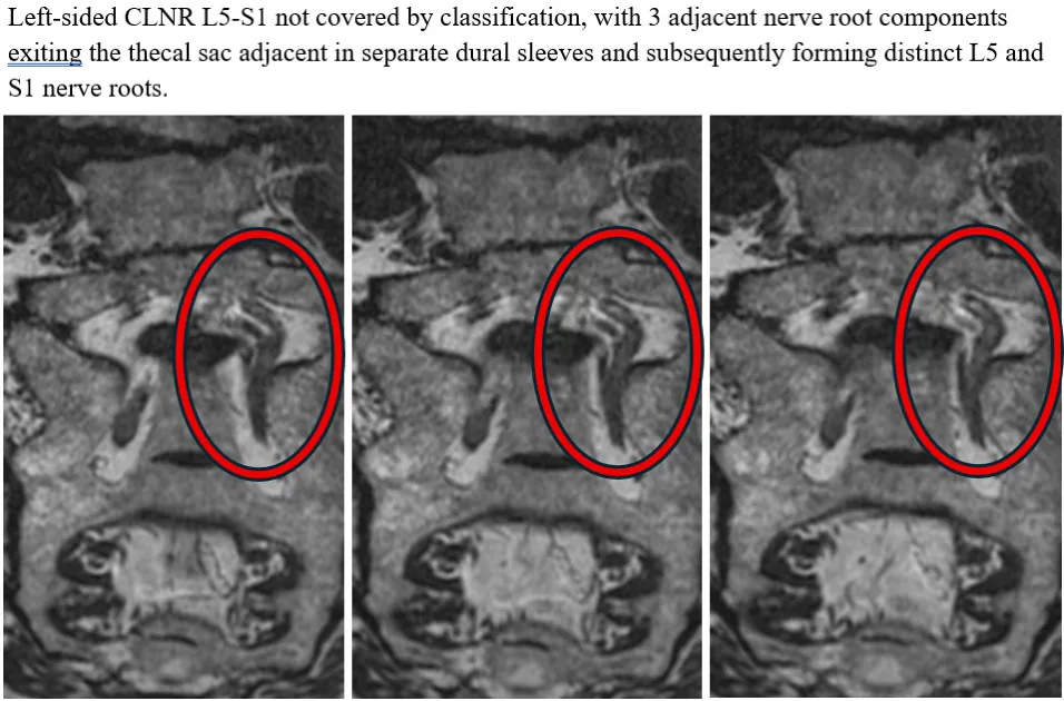 Figure 1 from the abstract