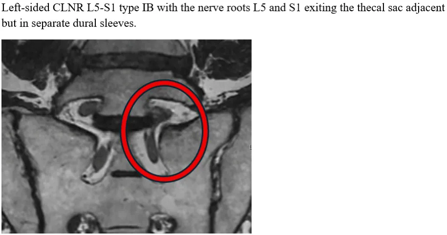 Figure 2 from the abstract