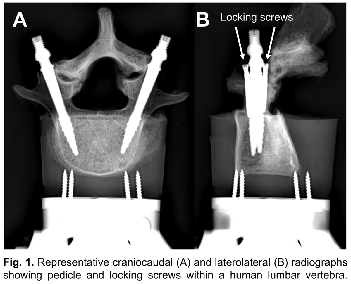 Figure 1 from the abstract