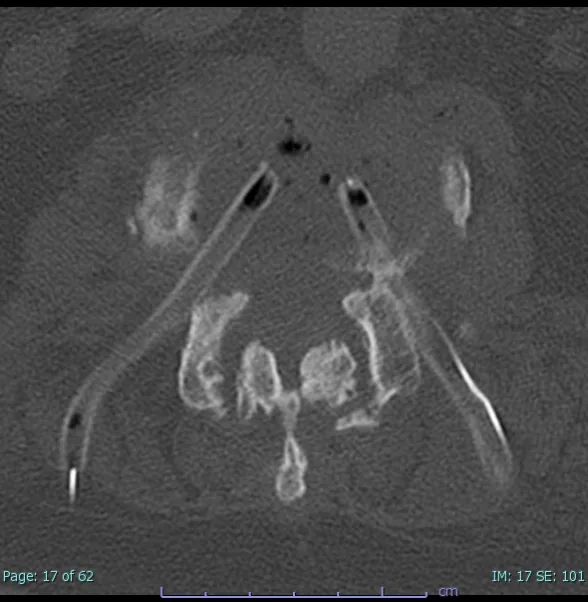 Figure 1 from the abstract