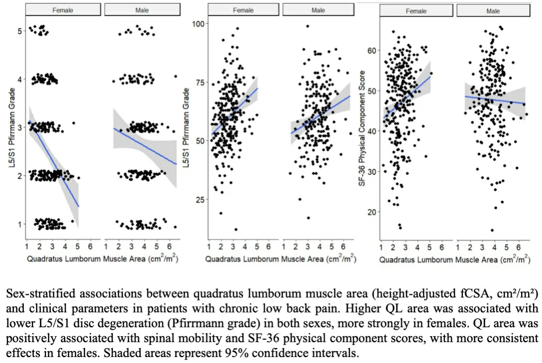 Figure 1: Association of the quadratus lumborum morphology with lumbar disc degeneration, spinal mobility, and physical quality of life