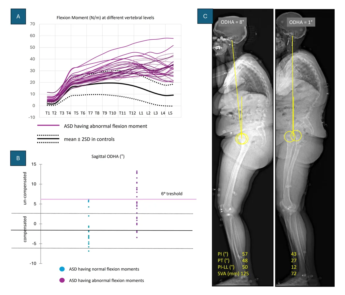 Figure 1 from the abstract